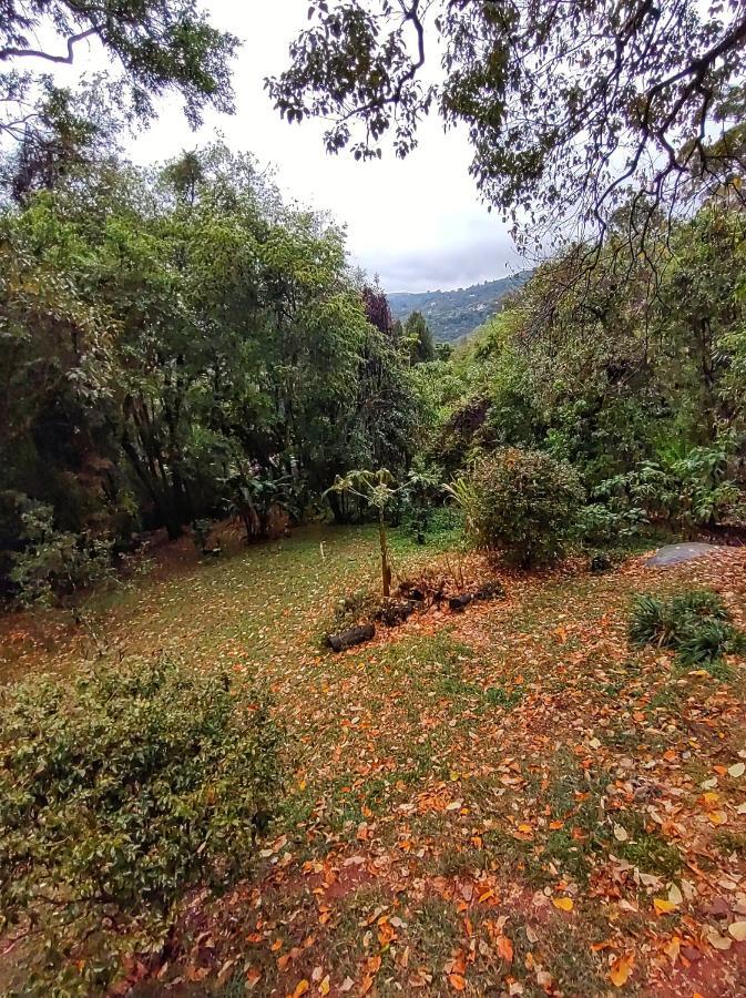 Casa Refugio Cantareira Mairiporã エクステリア 写真